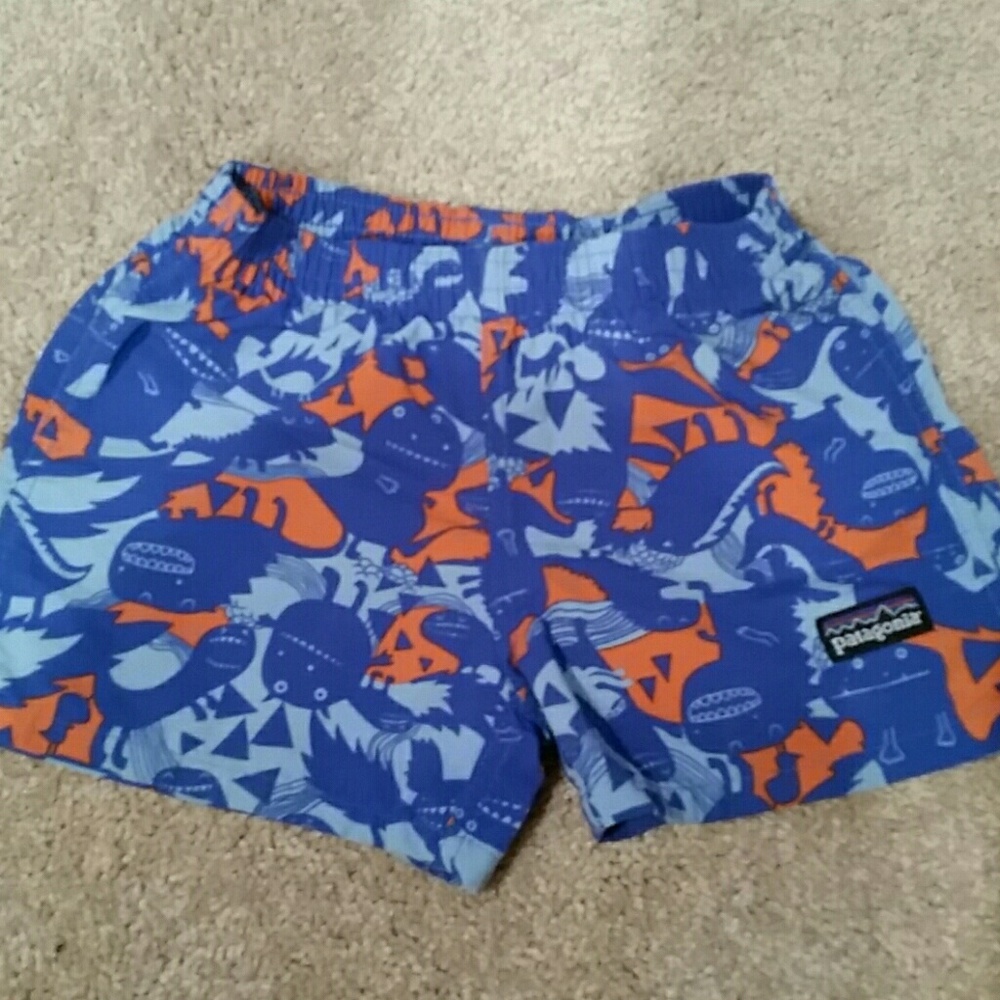 Patagonia Swim Trunks